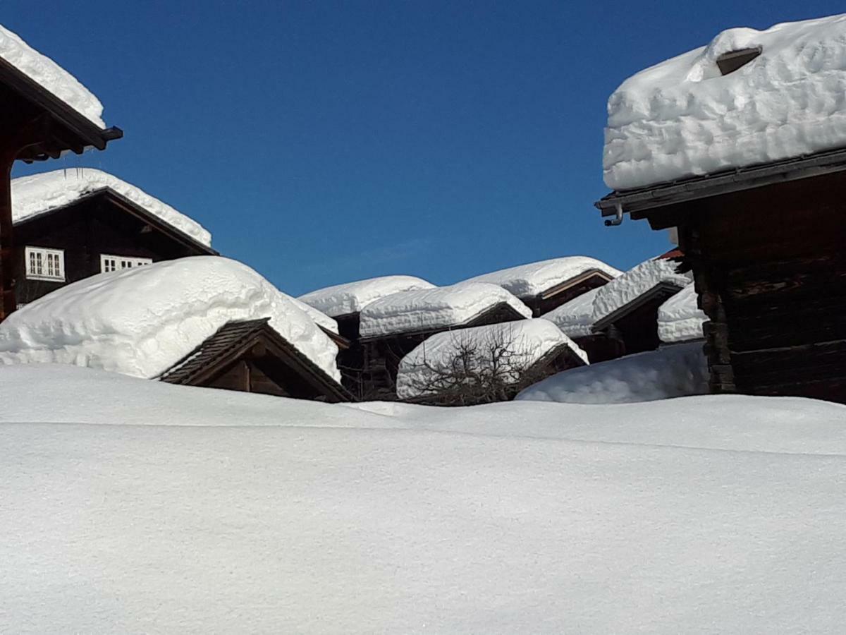 Appartamento Alpensonne Reckingen Esterno foto